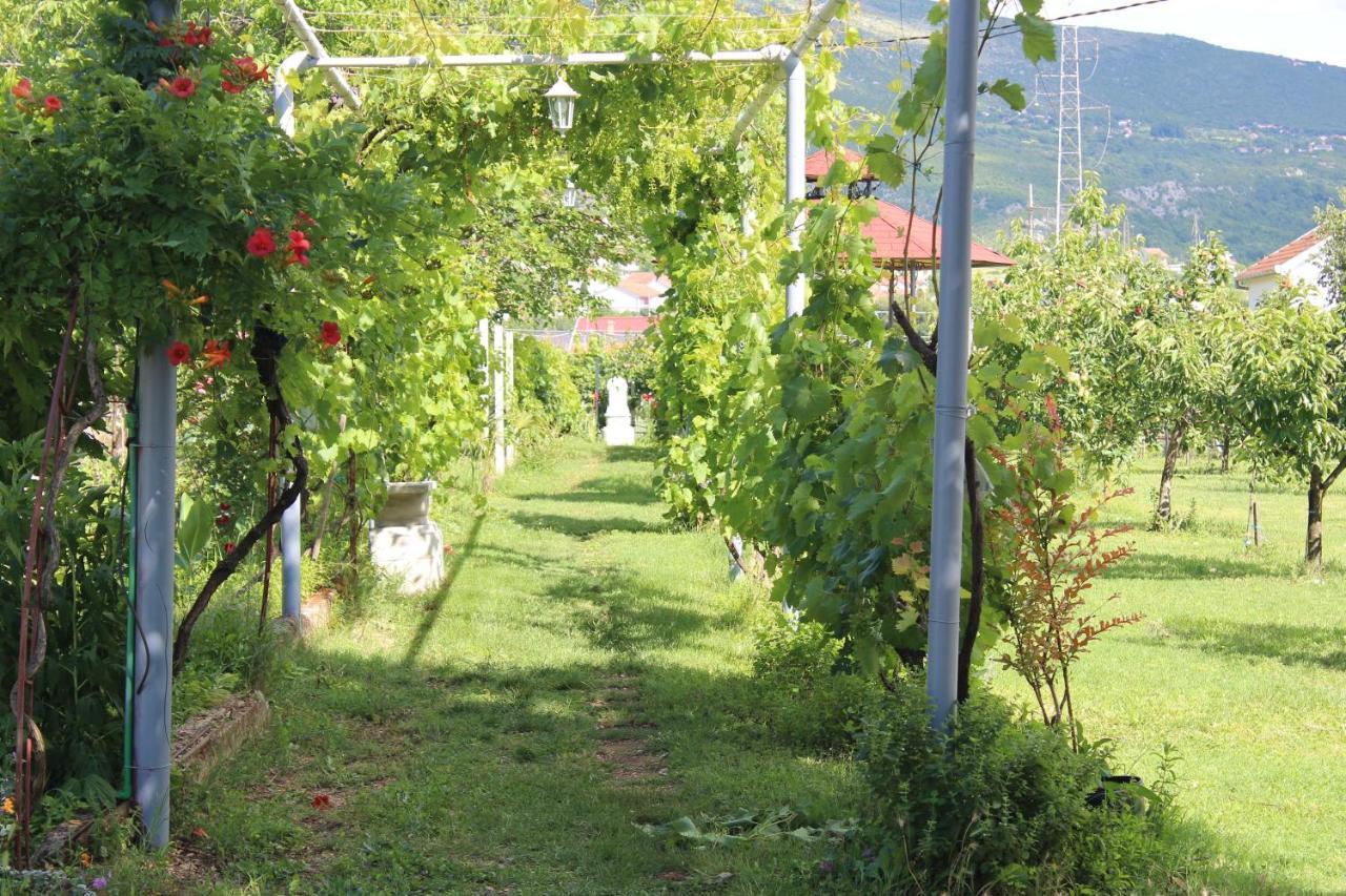 Casa Botanica Villa Blagaj Buitenkant foto