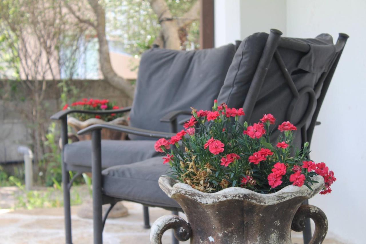 Casa Botanica Villa Blagaj Buitenkant foto