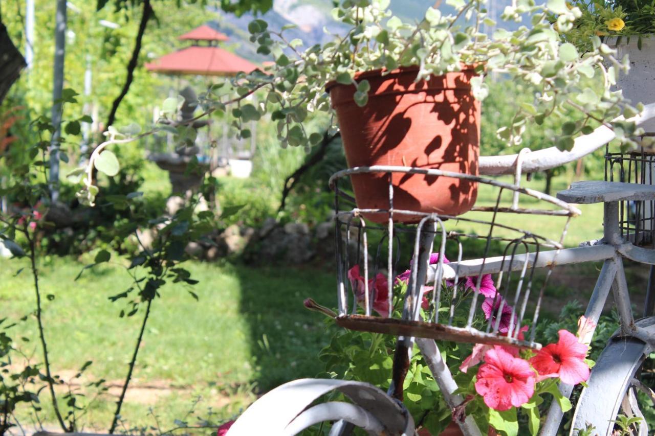Casa Botanica Villa Blagaj Buitenkant foto